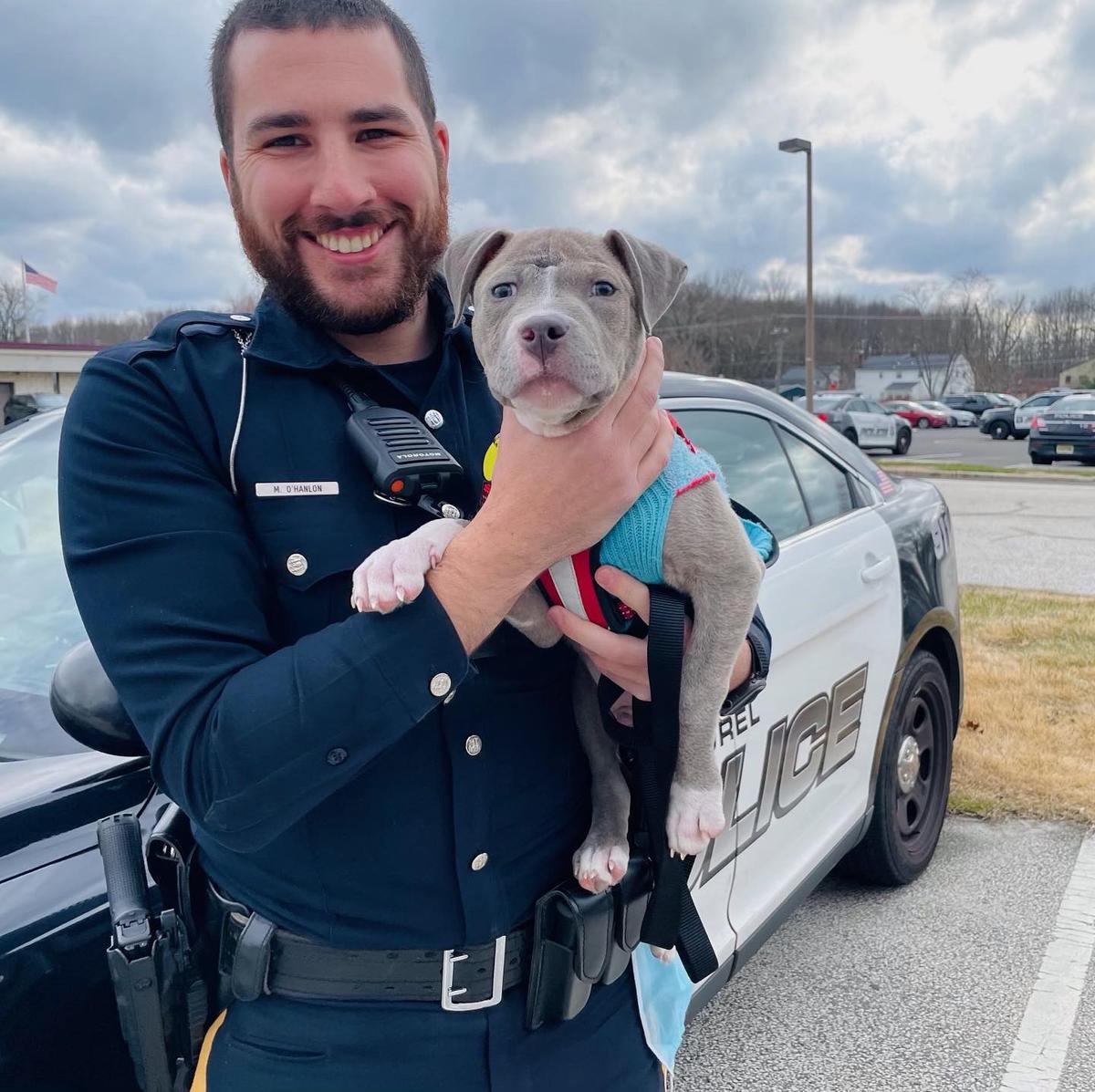 (Courtesy of <a href="https://mountlaurelpd.org/">Mount Laurel Police Department</a>)