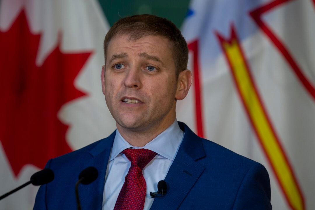 NL Premier Resumes Campaign After Man With Knives Arrested Outside Election Office
