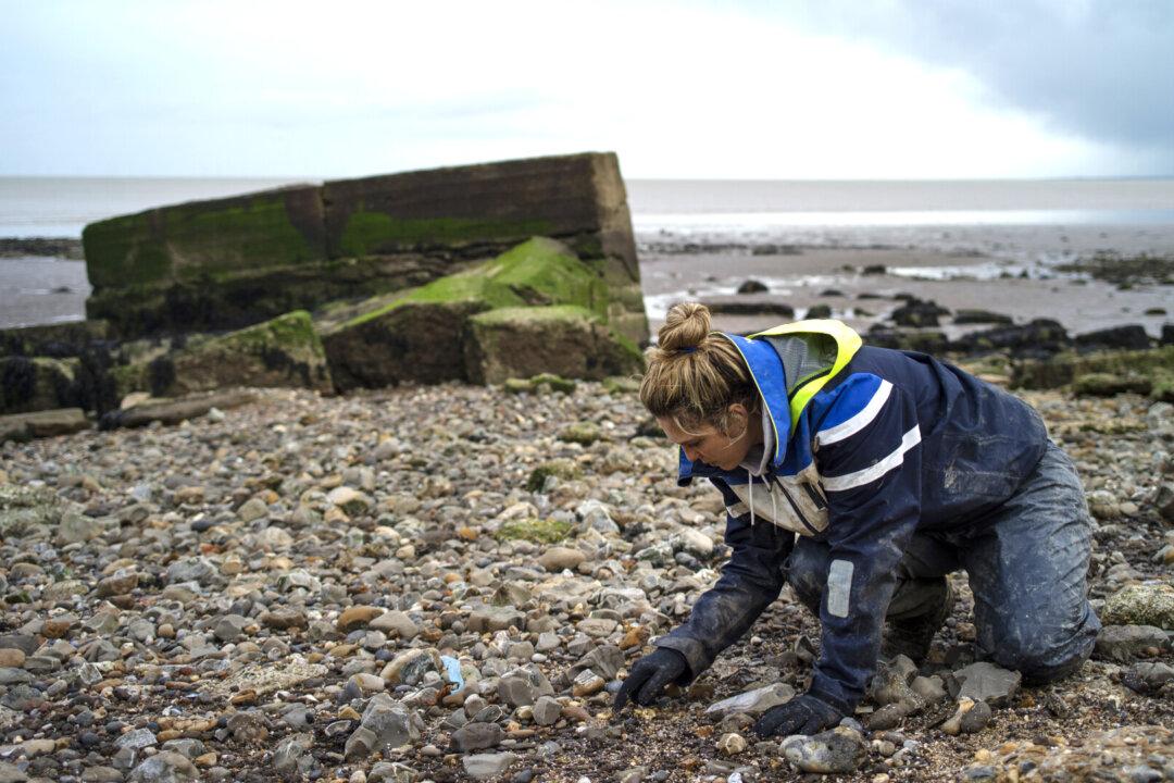 Police Discover Human Remains Which May Belong to Aussie Shark Victim