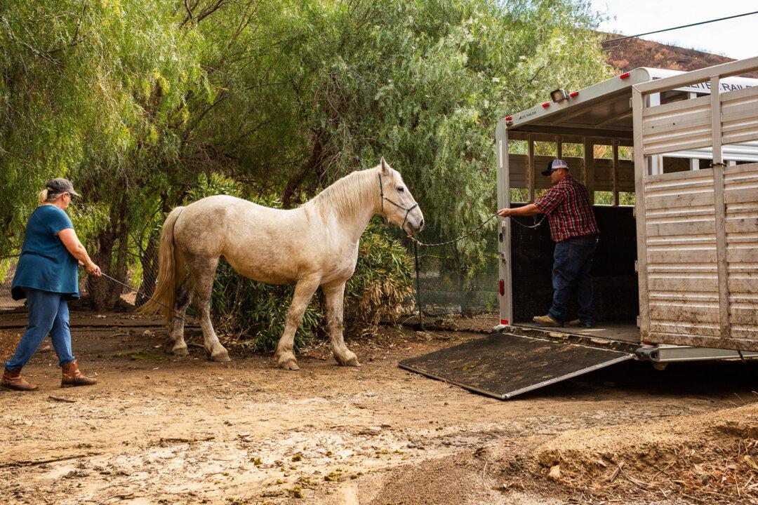 Mudslide Fears Linger After Devastating Fire