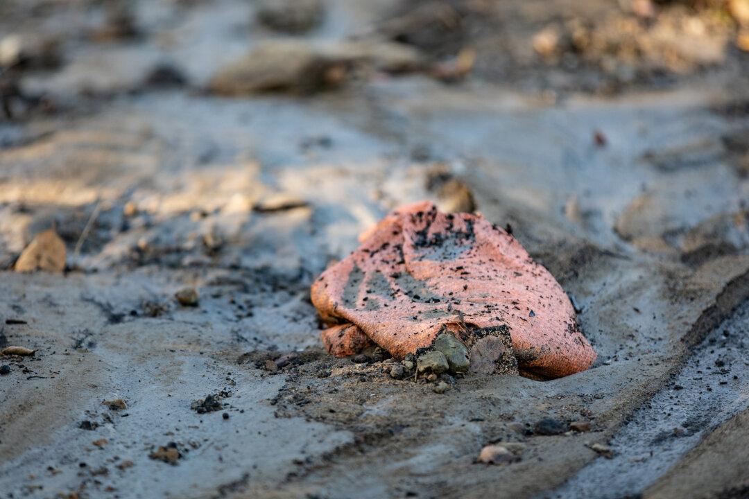 As Orange County Braved Storm, Community Efforts Helped Prevent Major Mudslides