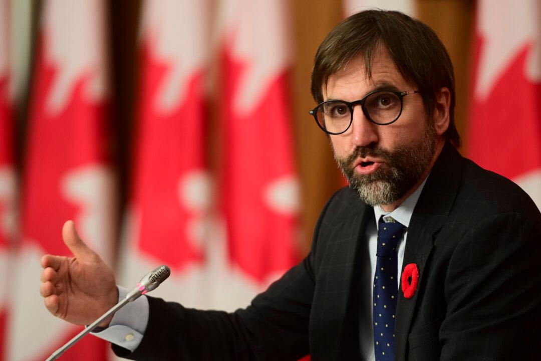 Bill to Regulate Internet Should Sustain Traditional Media, Avoid Infringing on Free Speech, Committee Hears