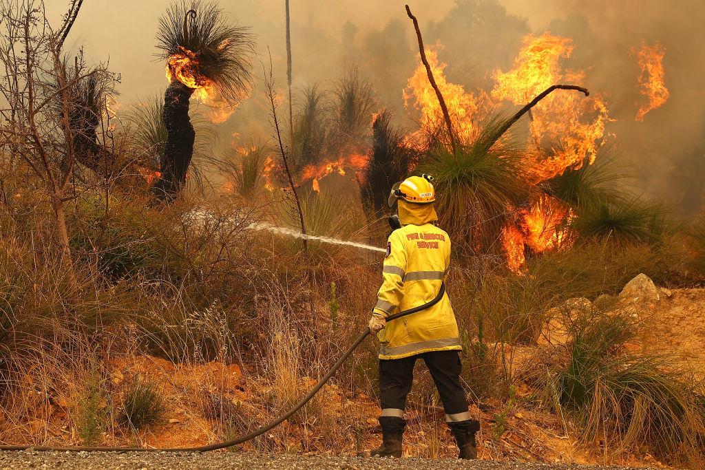 Google to Launch AI-Powered Satellites for Early Bushfire Detection