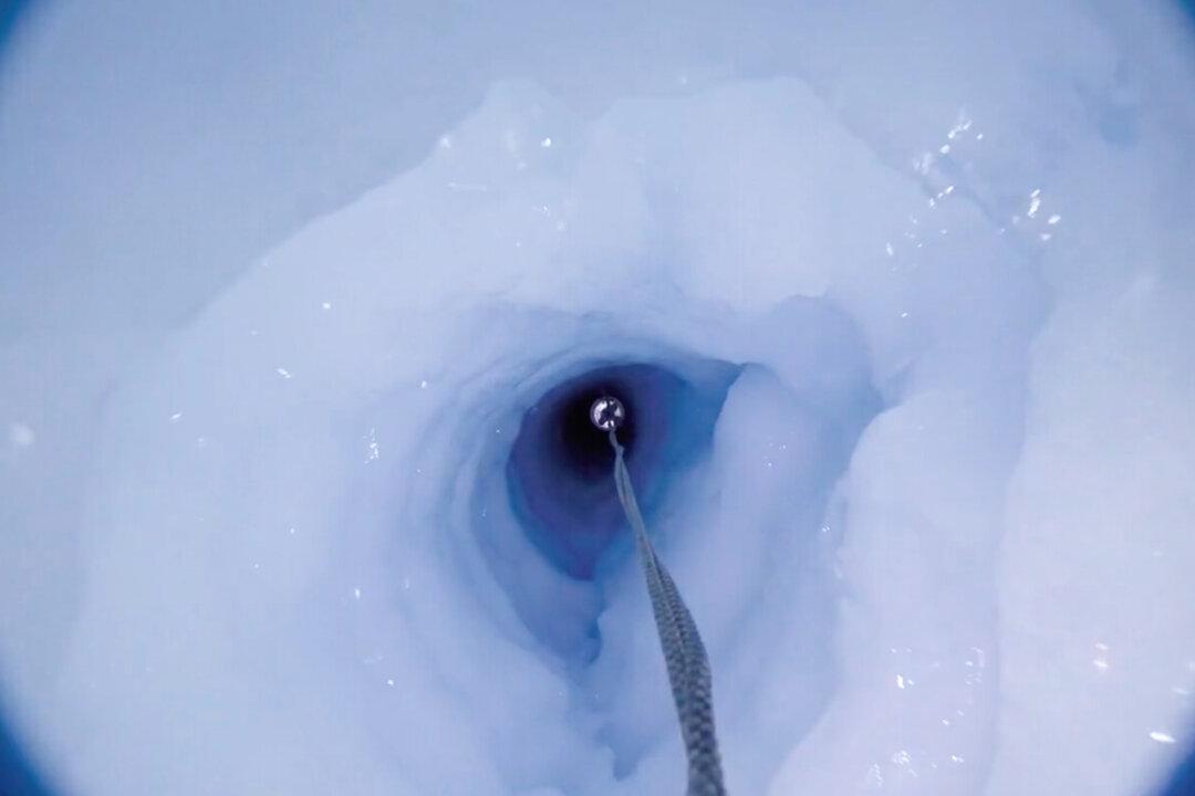 Researchers Drill Through 900 Meters of Ice, Discover Life in Total Darkness Under Antarctic Ice Shelf