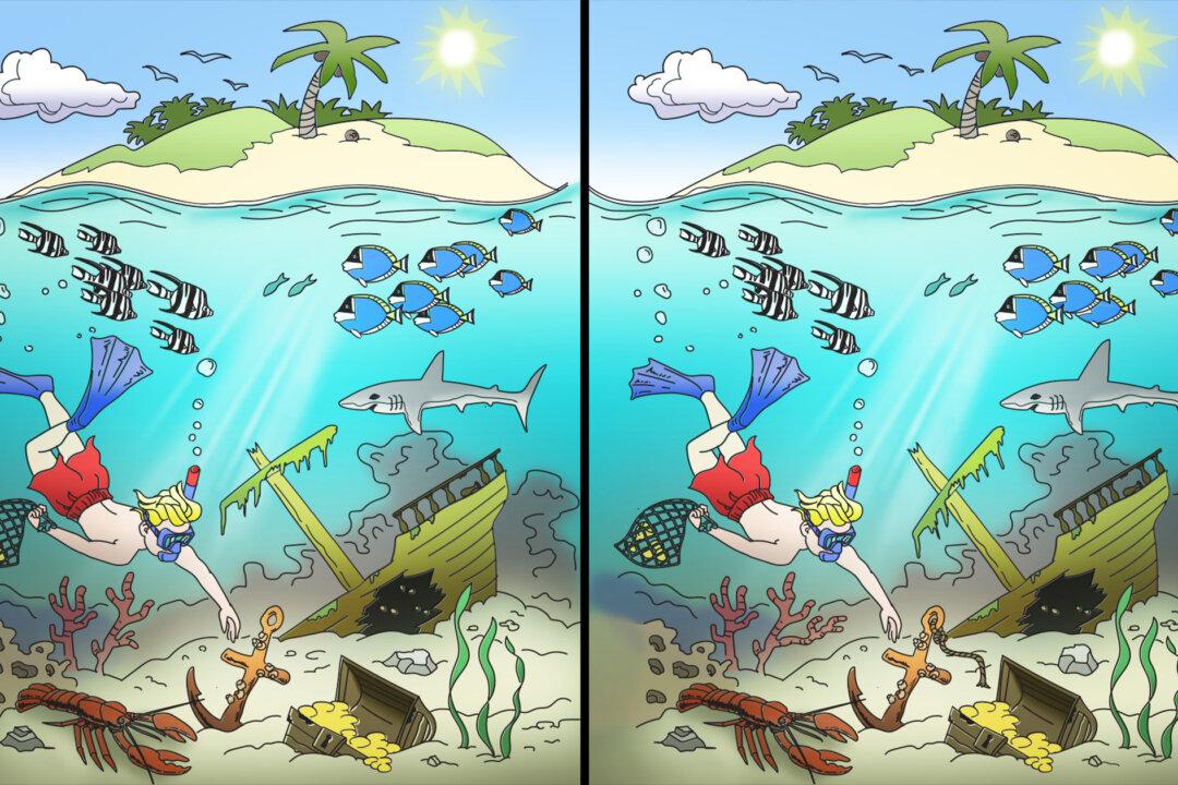 Can You Spot 11 Differences Hidden in These 2 Balmy Underwater Scenes? (Yes, We Want to Go Too)