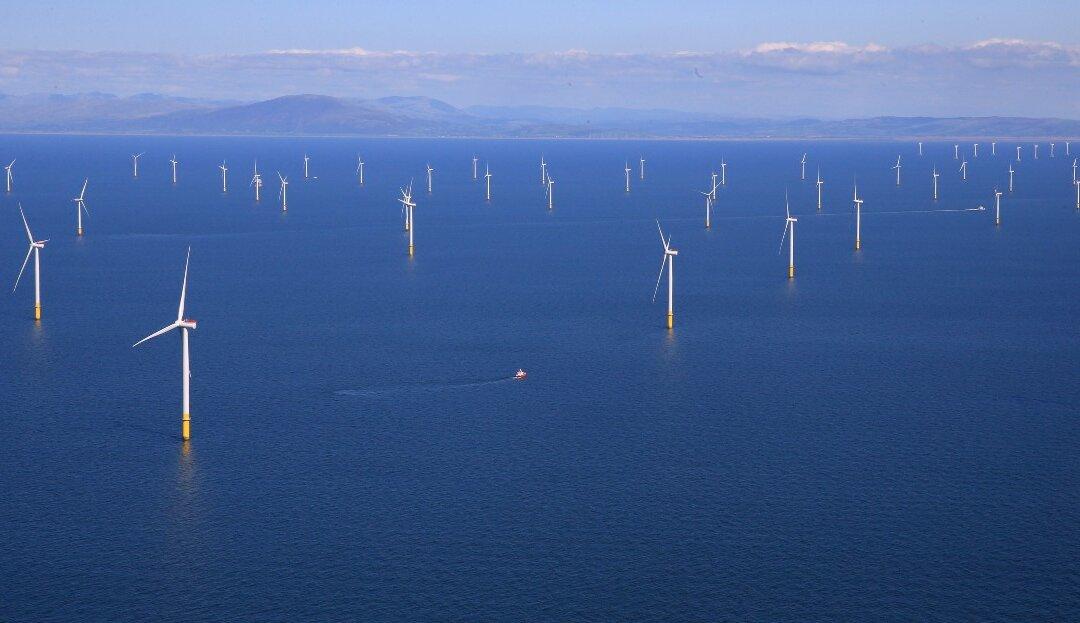Proposed Windfarm in Illawarra Will Impact Lobster Industry, Marine Life: Veteran Farmer