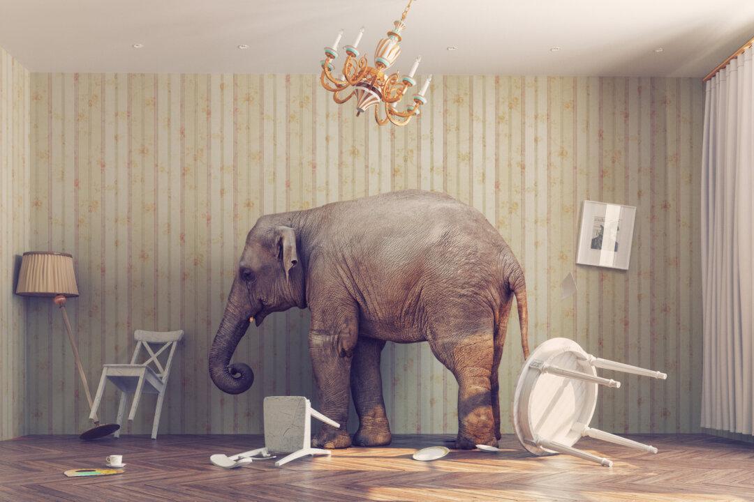 The Elephant in the Room