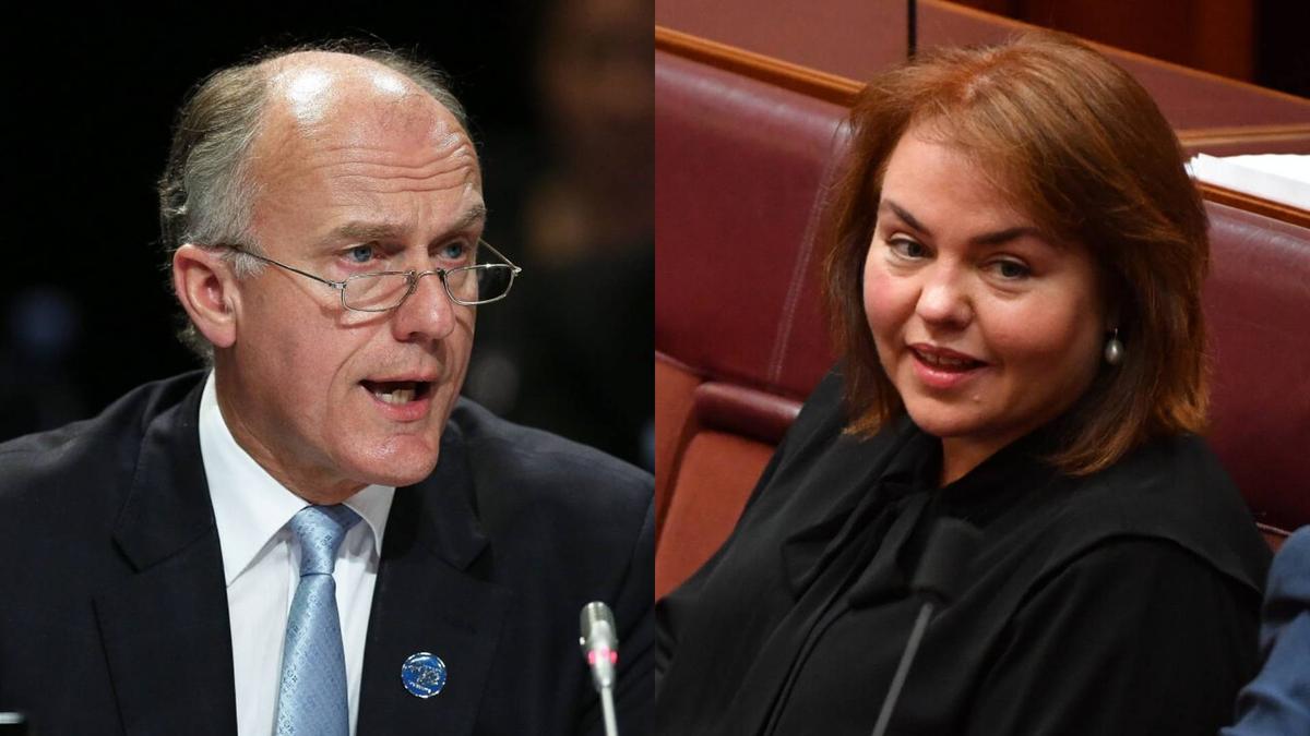 ‘We Should Thank God’ Young People Are Confronting the CCP: Aussie Senators Speak Out After Inquiry