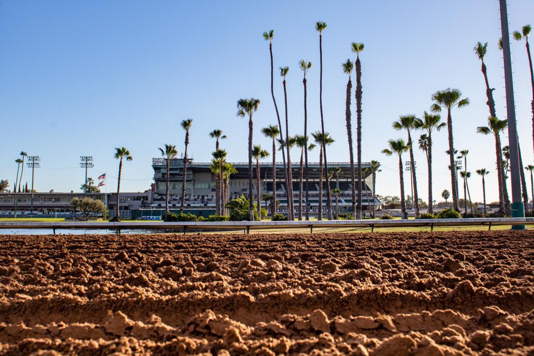 Racehorse Died From Back Injury Suffered at Los Alamitos