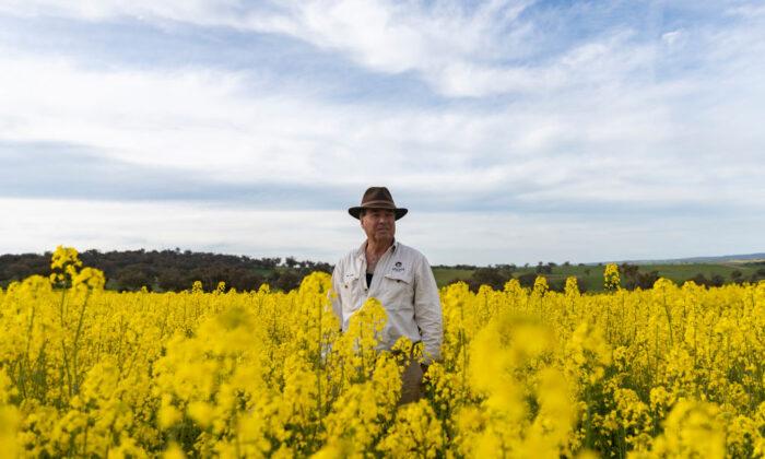 Australian Winter Crop Expected to Enter Record Books