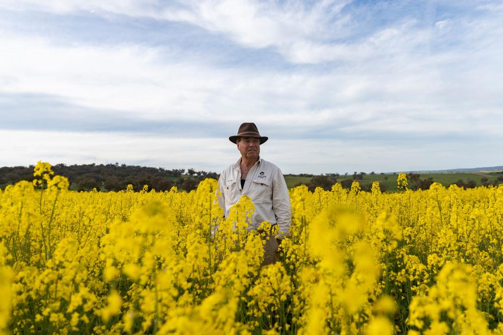 Australian Winter Crop Expected to Enter Record Books