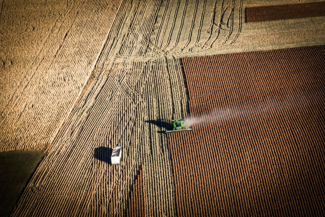 Judge Halts Debt Relief Program for Farmers of Color, Says It’s Likely Unconstitutional