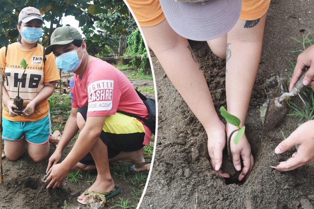 A Philippine City’s ‘Green Program’ Requires Marriage License Applicants to Plant Trees