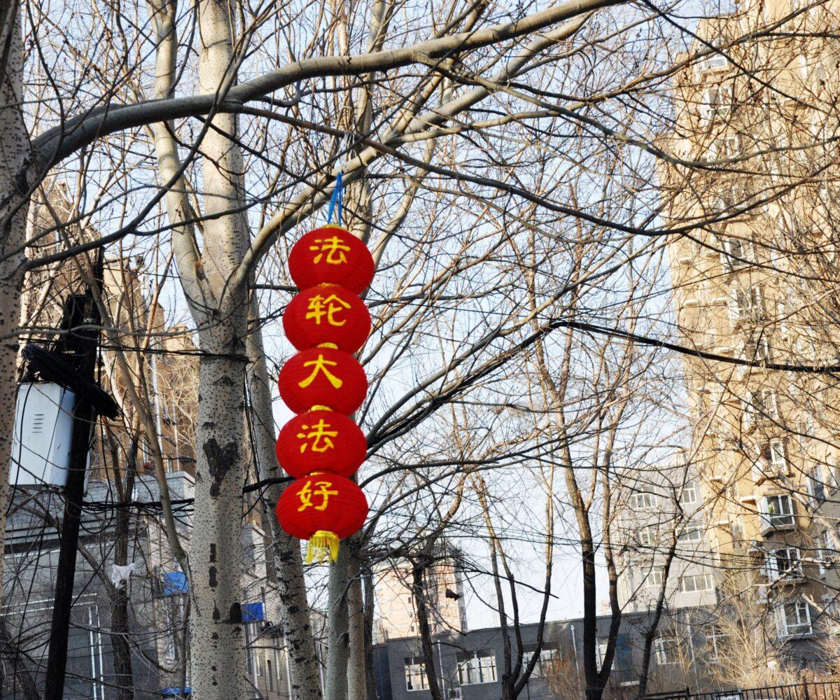 Lanterns with the words "Falun Dafa Is Good" hang from the tree in an undisclosed location in mainland China, in May 2015. (Courtesy of Minghui.org)