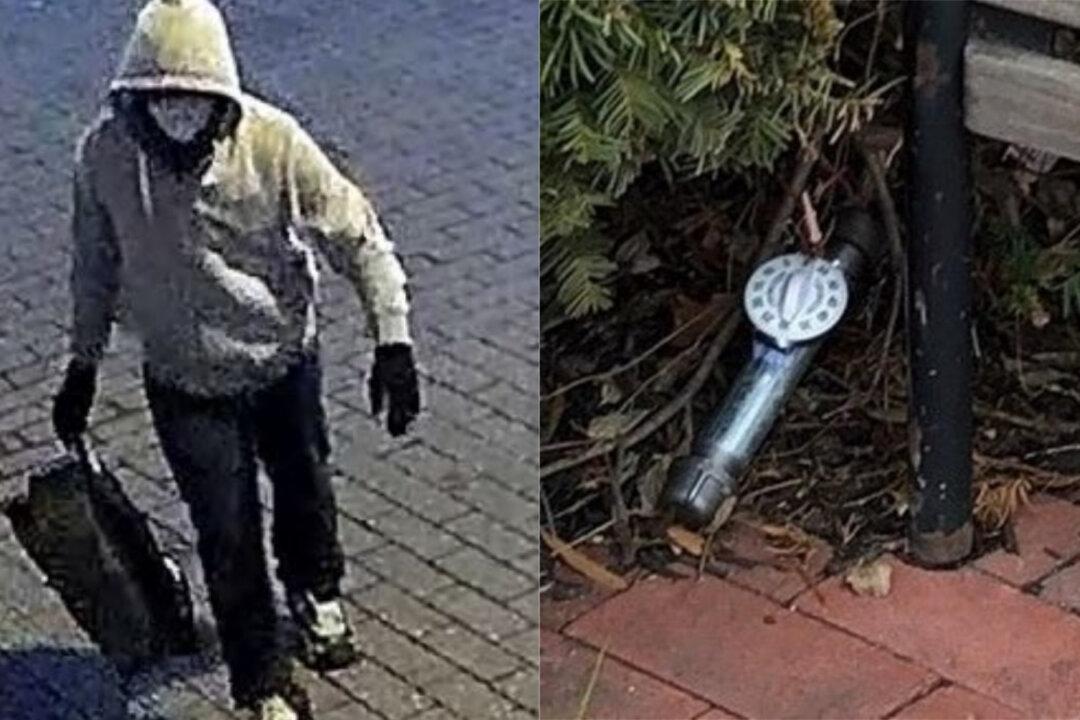 FBI Still Hunting for DC Pipe Bomb Suspect 1 Year Later