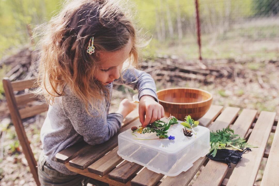 A Step-by-Step Guide to Homeschooling