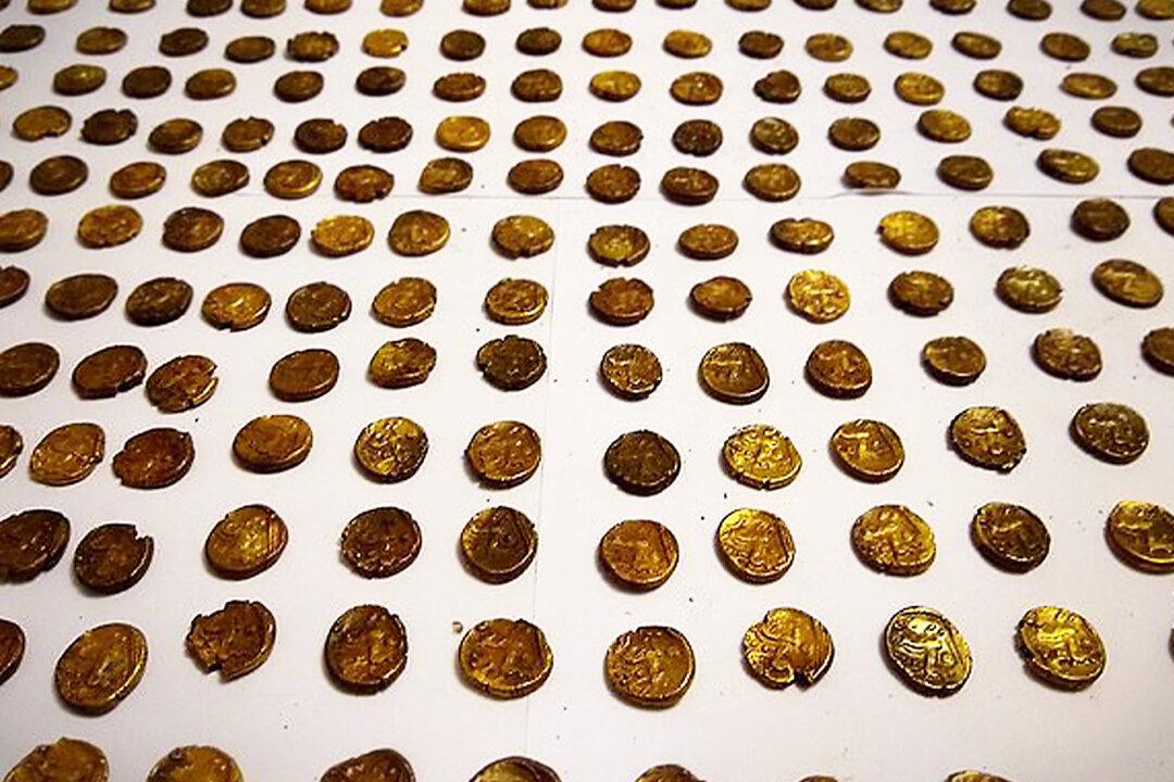 Birdwatcher Spots Gold Coin in Field, Unearths Hoard of 1,300 Celtic Coins Worth 845,000 Pounds