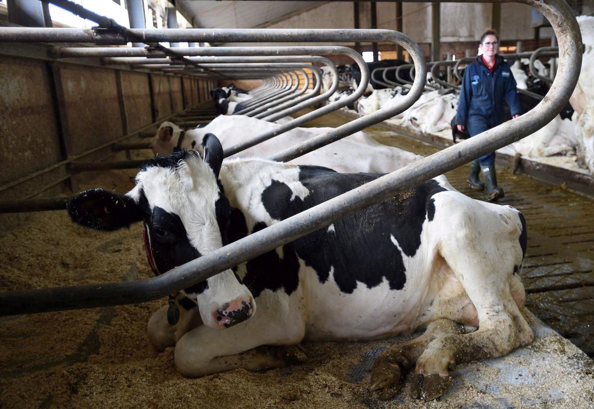 Growth-Boosting Trade Deals Need Better Competition Policy at Home