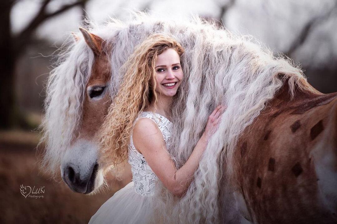 ‘Rapunzel’ Horse With Incredible Golden Mane Is Her Human’s ‘Childhood Dream That Came True’