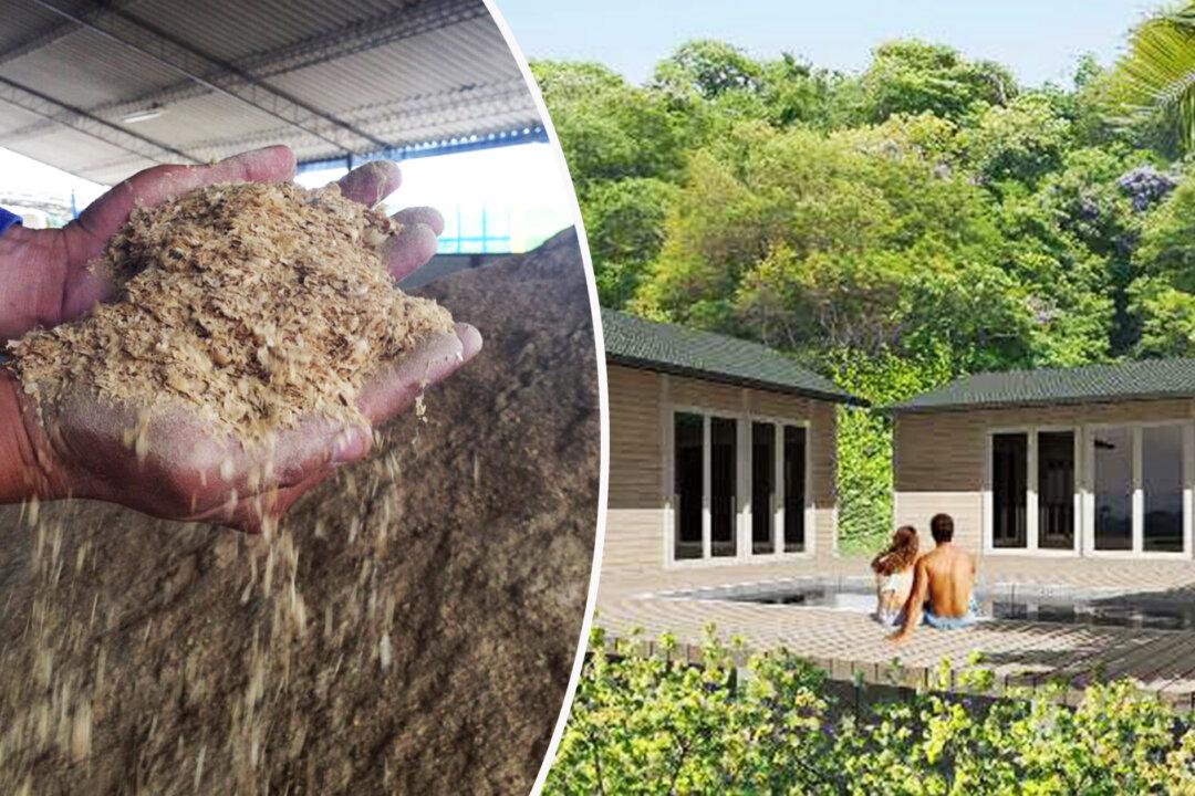 Colombian Builder Creates Homes Literally Made of Coffee, Saves the Day After Hurricane Iota