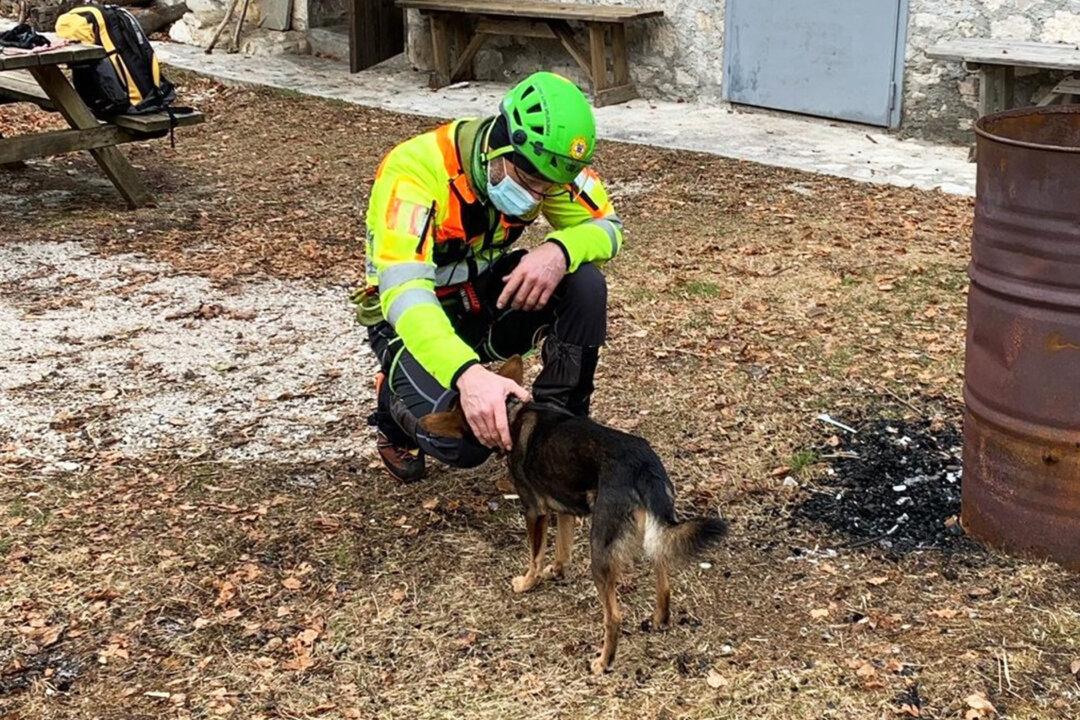 Dog Stays With Injured Hiker in Freezing Italian Alps for 7 Nights Until Rescuers Airlift Them to Safety