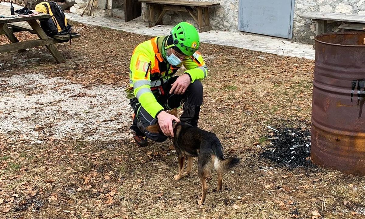 Dog Stays With Injured Hiker in Freezing Italian Alps for 7 Nights Until Rescuers Airlift Them to Safety