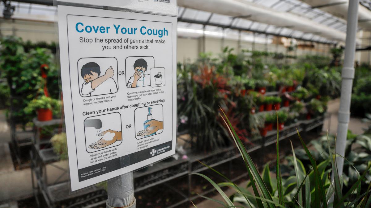 Alberta Crown Prosecutors Continue to Drop COVID-19 Tickets, More Withdrawals Expected