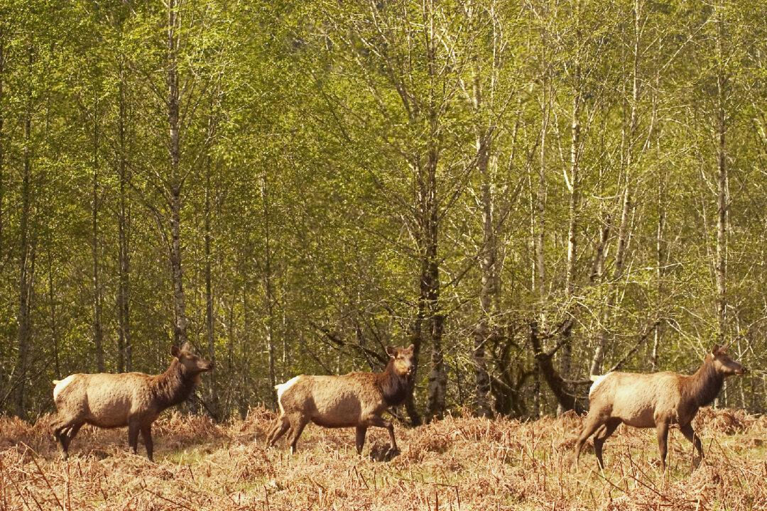 Mother Nature’s Hidden Gems