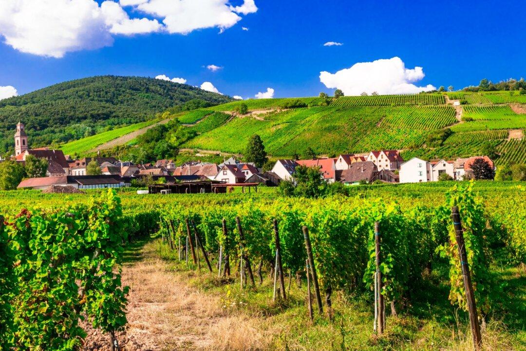 The Gorgeous Wines of Alsace