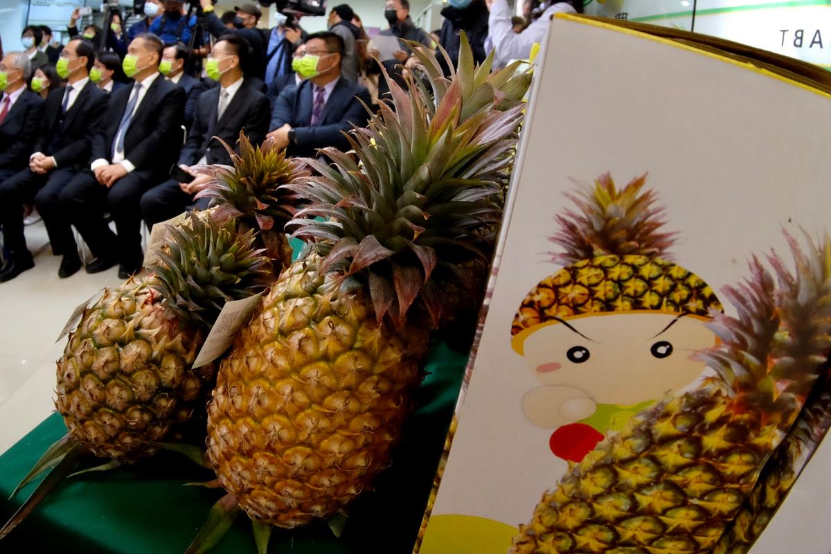 Australian Growers Concerned About Potential Taiwan Pineapple Imports