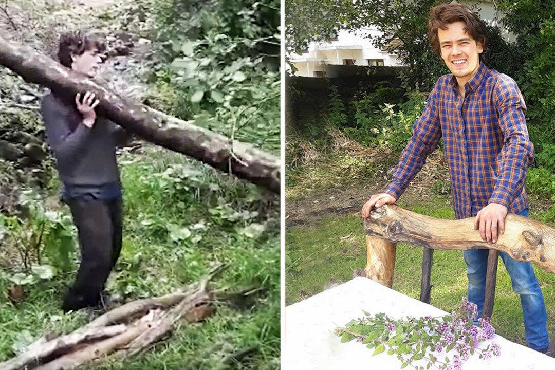 Talented Woodworker Makes Rustic Bed From Driftwood Fallen in Stream–and the Result Is Amazing