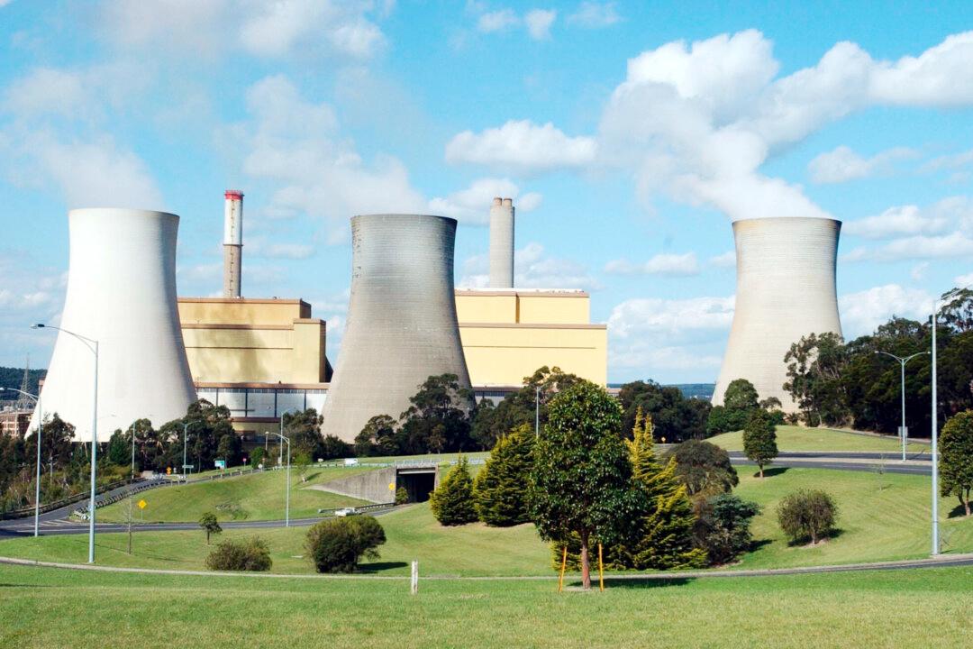Australia Must Be Engaged and Involved in Global Climate Policies: Treasury