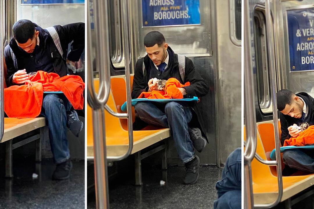 NYC Subway Passenger Spots Man Bottle-Feeding Tiny Kitten: ‘It Renewed My Faith in Humanity’