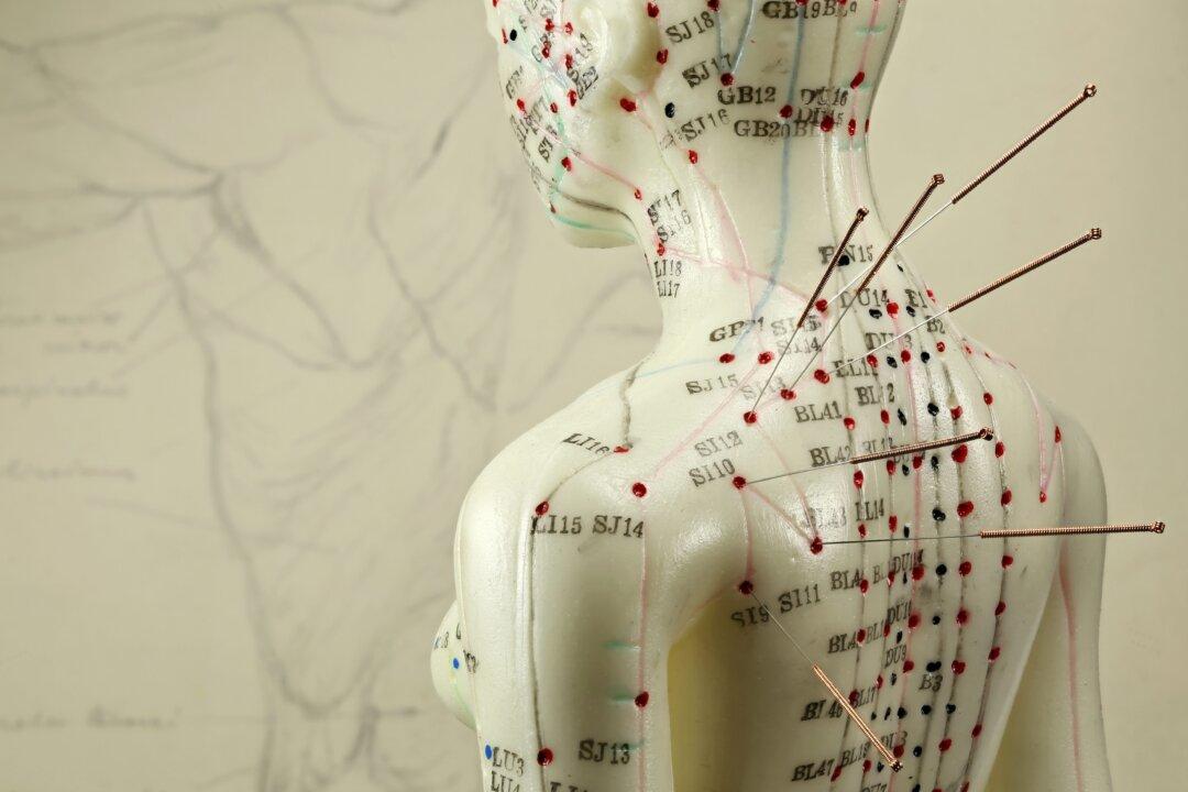 When Nature Balances Its Yin and Yang, Our Bodies Correspond