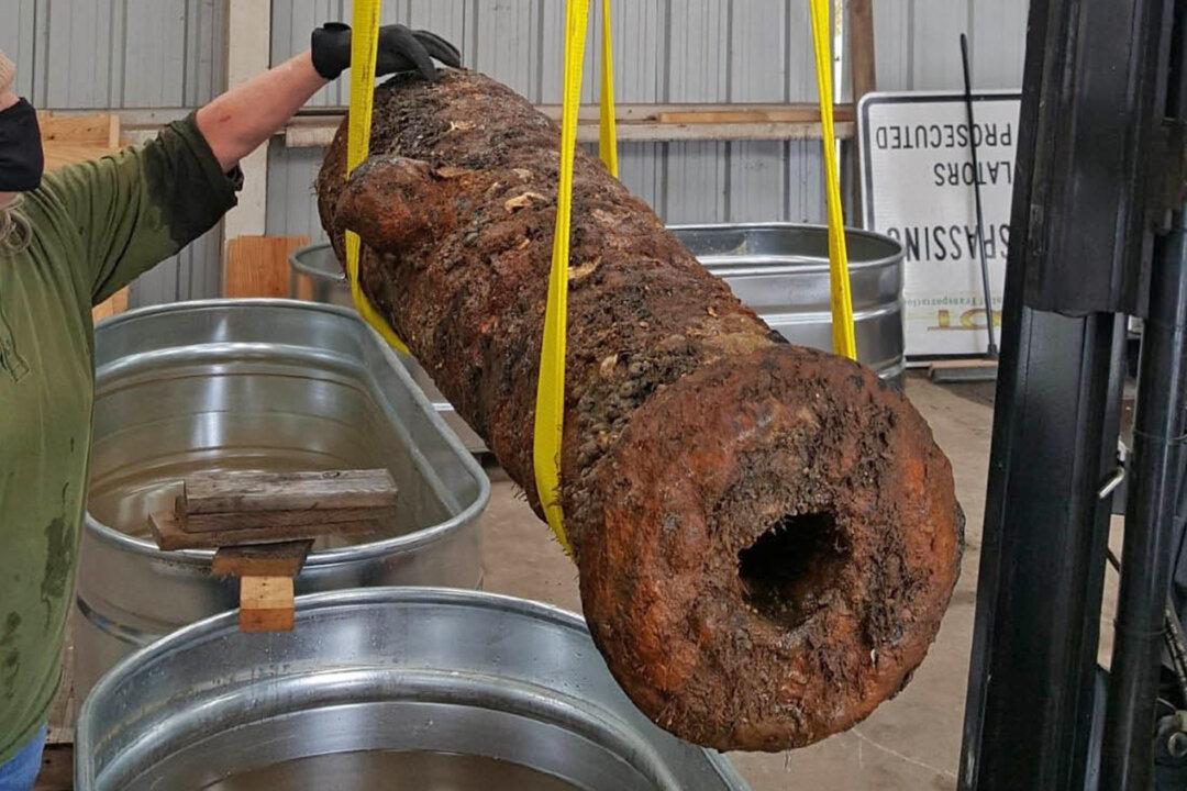 Artifacts, Cannons Dredged Up From Savannah River May Predate Civil War