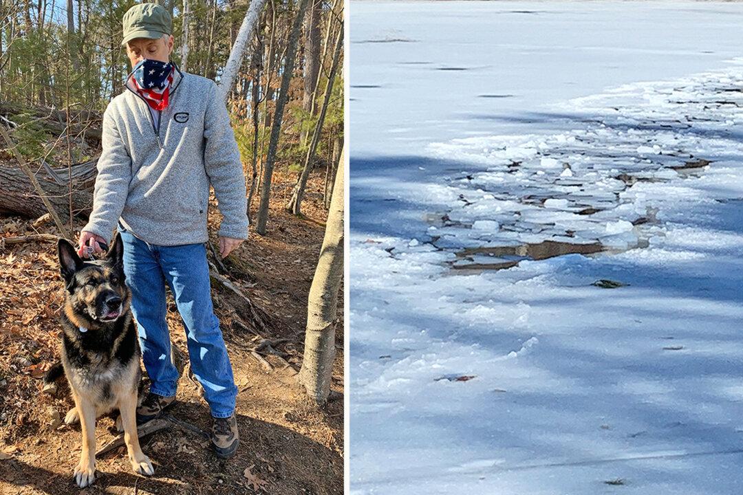 German Shepherd Alerts Owner to Save Biker From Frozen Pond: ‘He’s the Hero’