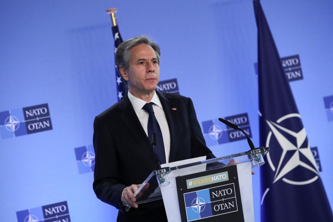 US, Allies Working to Bring Ukraine ‘Up to NATO Standards’: Blinken