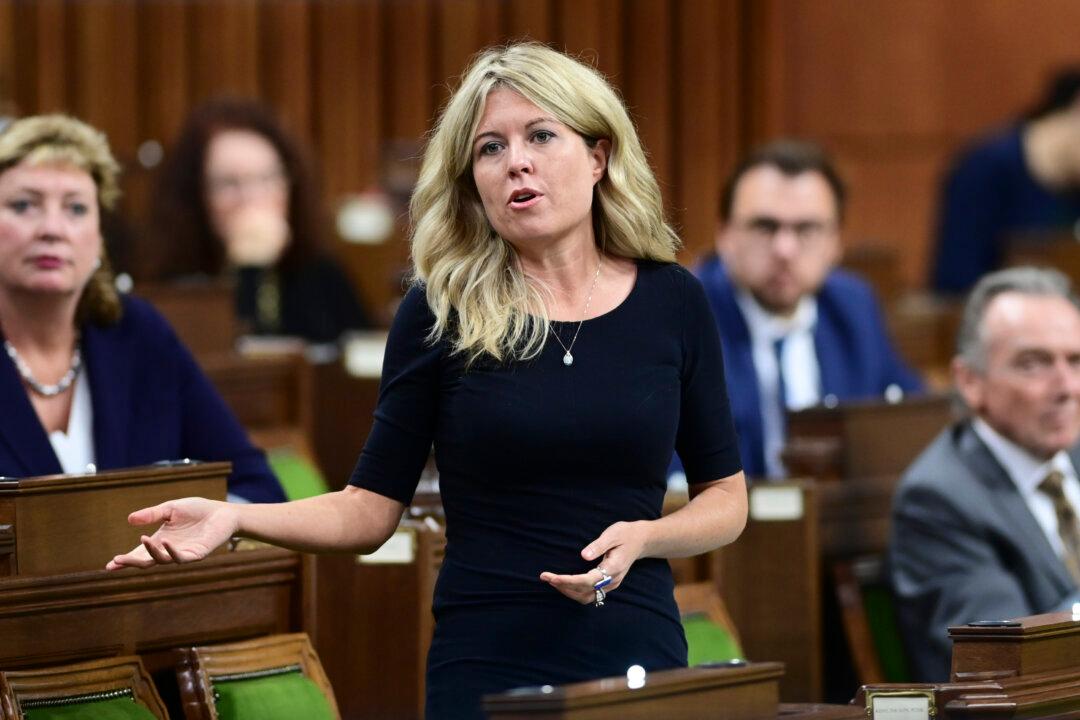 Make Online News Laws and Federal Subsidies a Voting Issue, Tory MP Urges