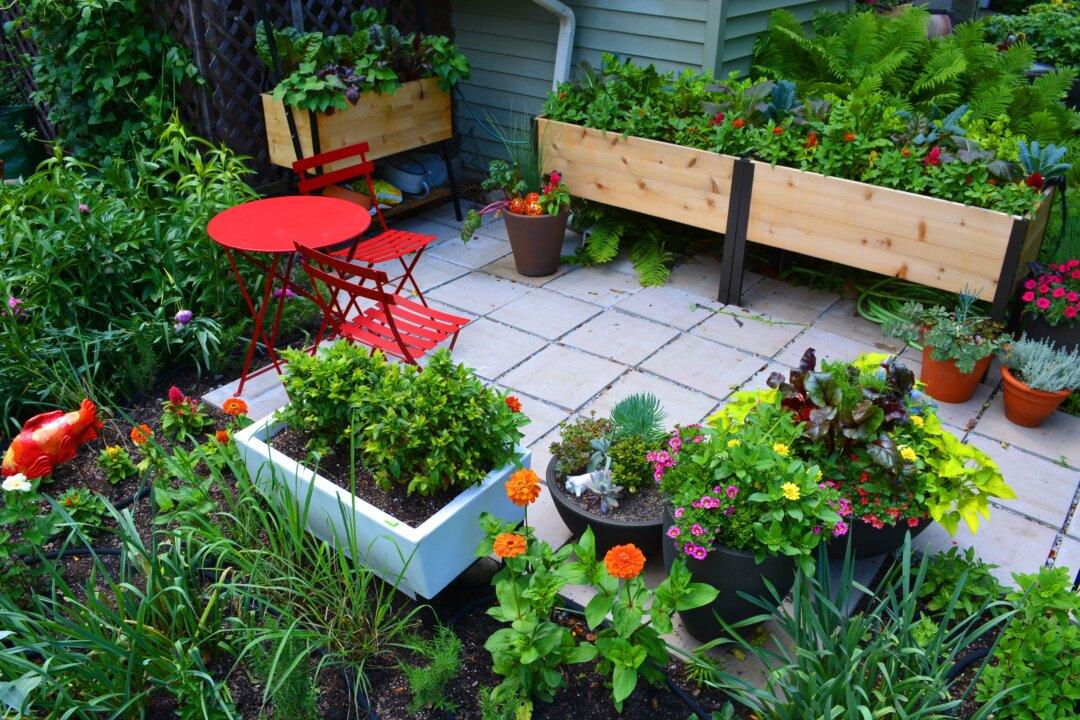 A Kitchen Container Garden Can Get Your Family to Eat More Vegetables