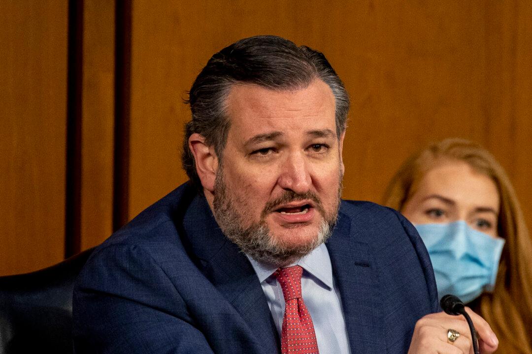 Ted Cruz Releases Video Footage From US-Mexico Border