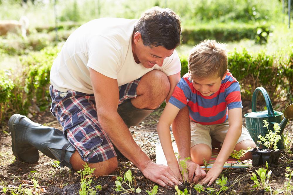 Growing Gardeners: A Case for Starting a Family Garden