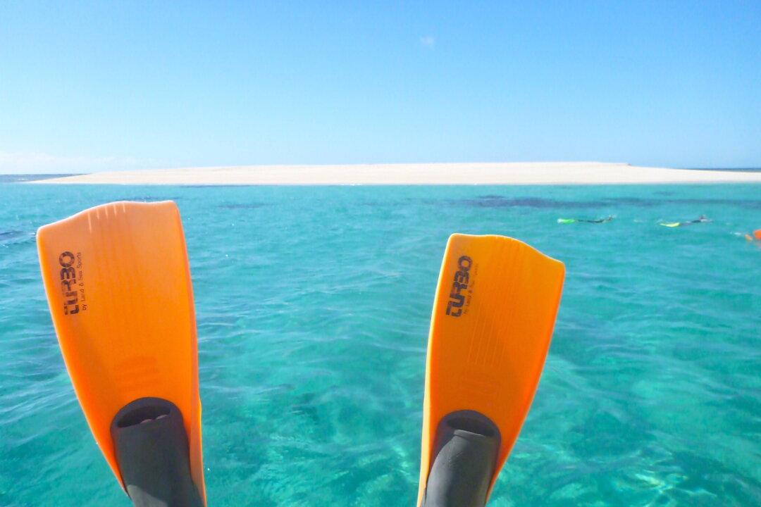 Spending Hundreds of Millions to Make a 0.1 Percent Difference to the Great Barrier Reef