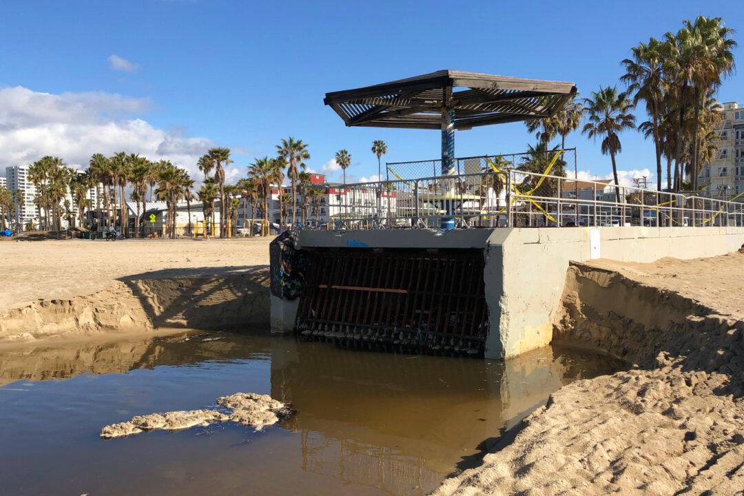 Locals Fear Filth From Homeless Camps Adding to Water Pollution in Venice Beach