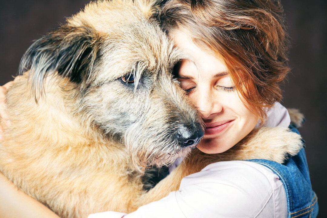 10 Top Reasons to Adopt, Not Shop for a New Furry Family Member–#7 Even Has Health Benefits