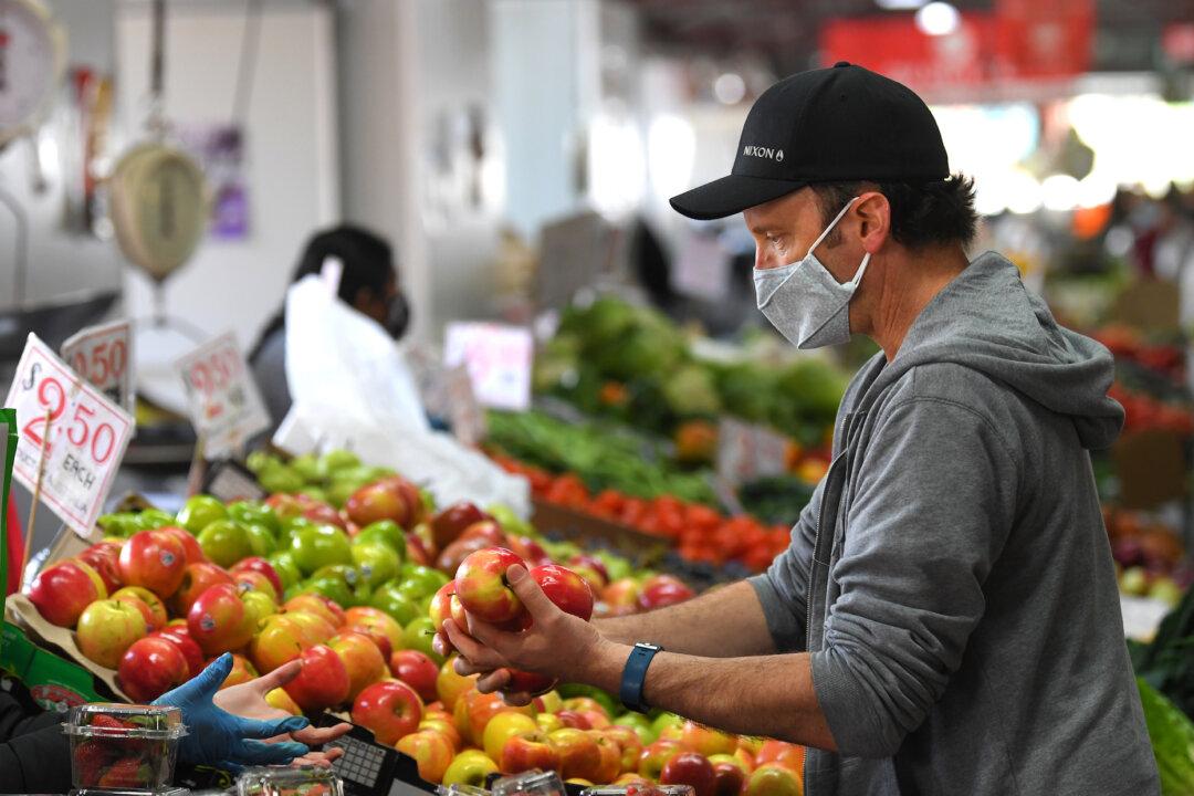 Pacific Islanders Arrive to Help Victoria’s Fruit and Vegetable Harvest