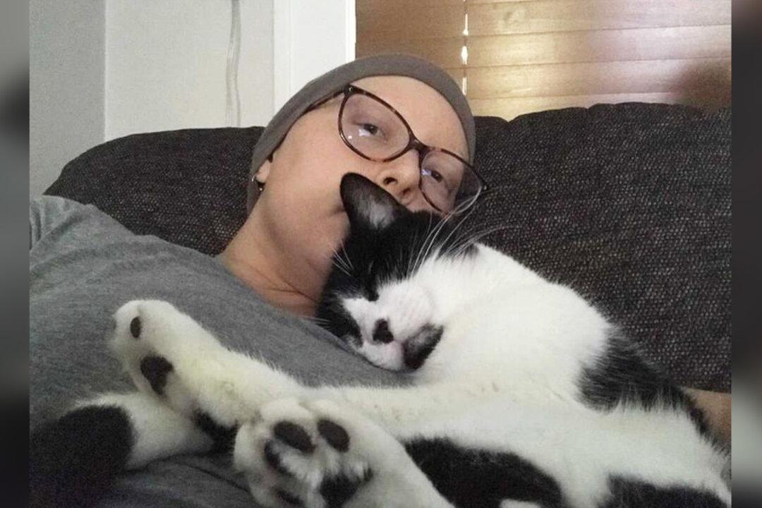 Woman Says Her Rescue Cat Helped Save Her Life After Detecting Breast Cancer
