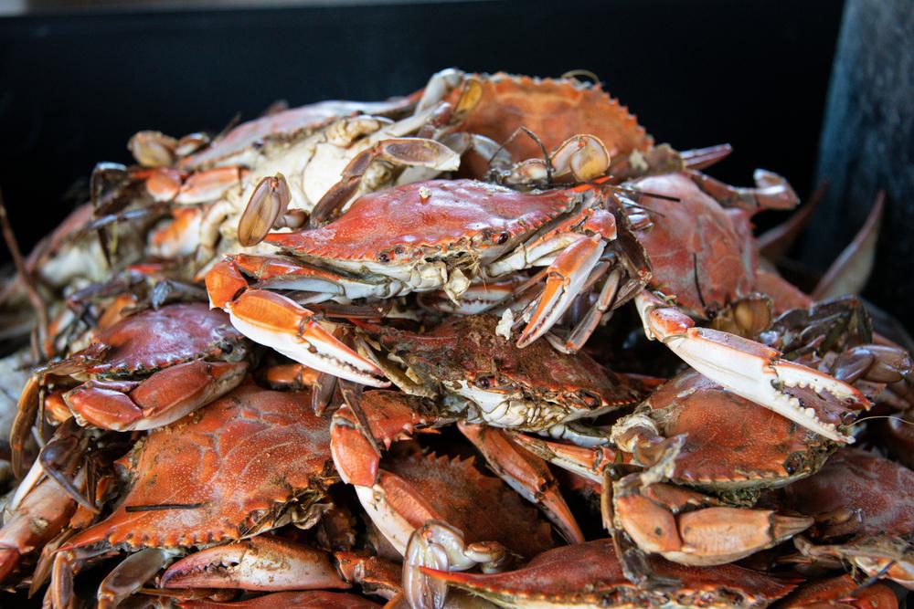 Secluded Smith Island Is Living at Its Best