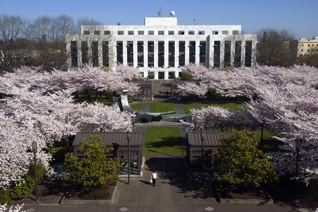 State Employee Brings RICO Suit Against Public Sector Union