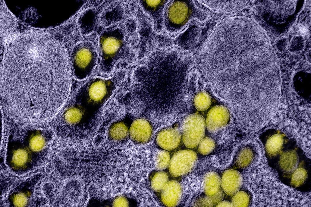 COVID-Infected People Without Symptoms Are Much Less Likely to Pass Virus On: Study