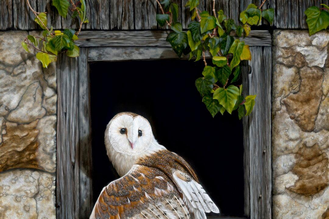 Behold the Beauty: ‘Patient Observer’ by Camille Engel